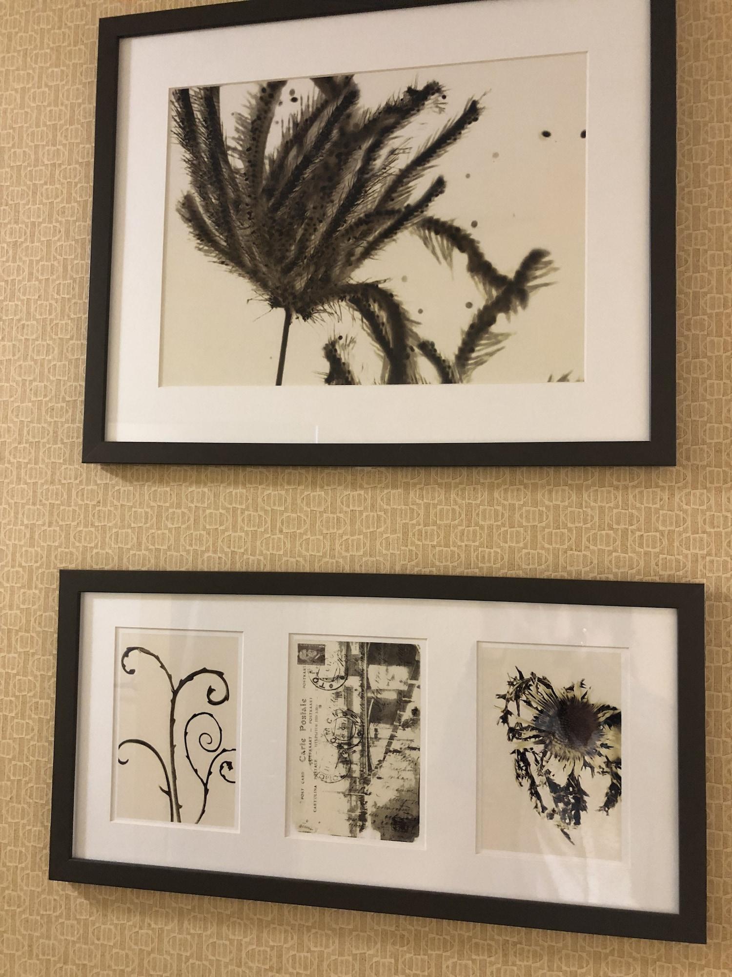 Country Inn & Suites By Radisson, San Jose International Airport, Ca Bagian luar foto